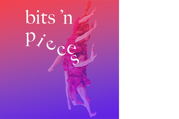 bits 'n pieces poster
